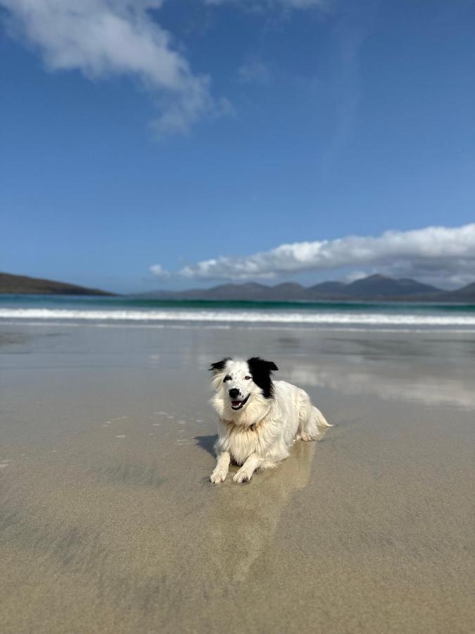 Kinnoull House Near Stornoway Hot-Tub Sauna Pet Friendly Garrabost Екстериор снимка